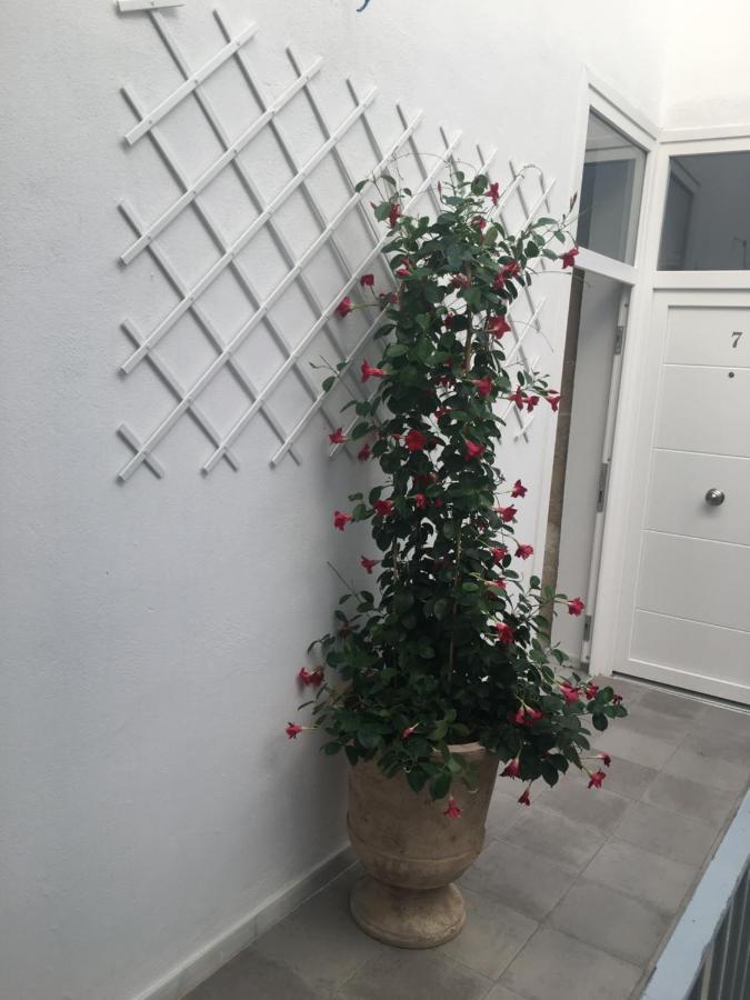 Loft Xerez Centro Apartment Jerez de la Frontera Ngoại thất bức ảnh